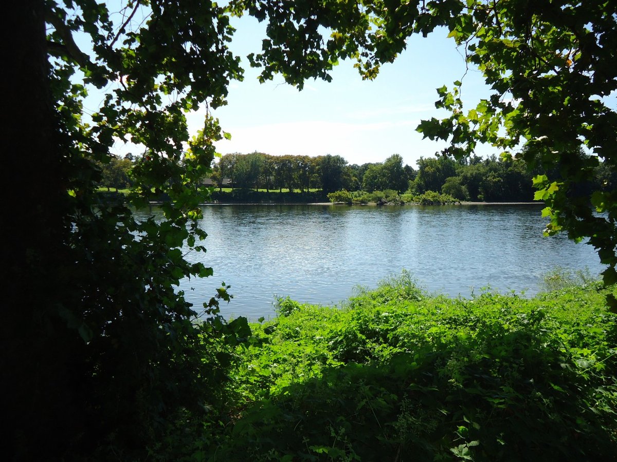 McGelliard Park Area, NJ - Washington Crossing State Park - Wikipedia