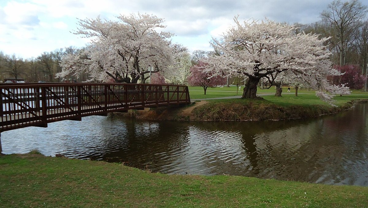 McGelliard Park Area, NJ - Rahway River Parkway - Wikipedia